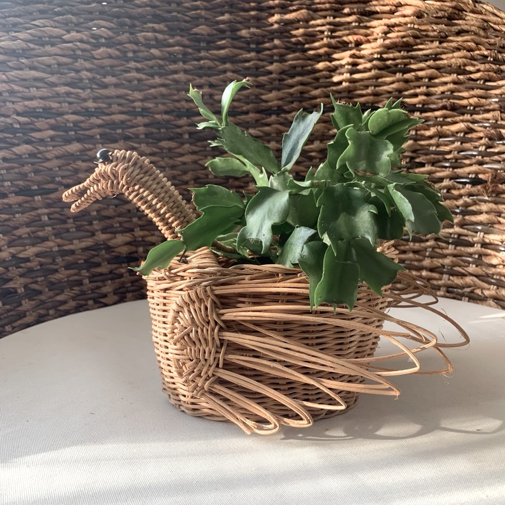 Mid Century Swan Planter Rattan Good Condition